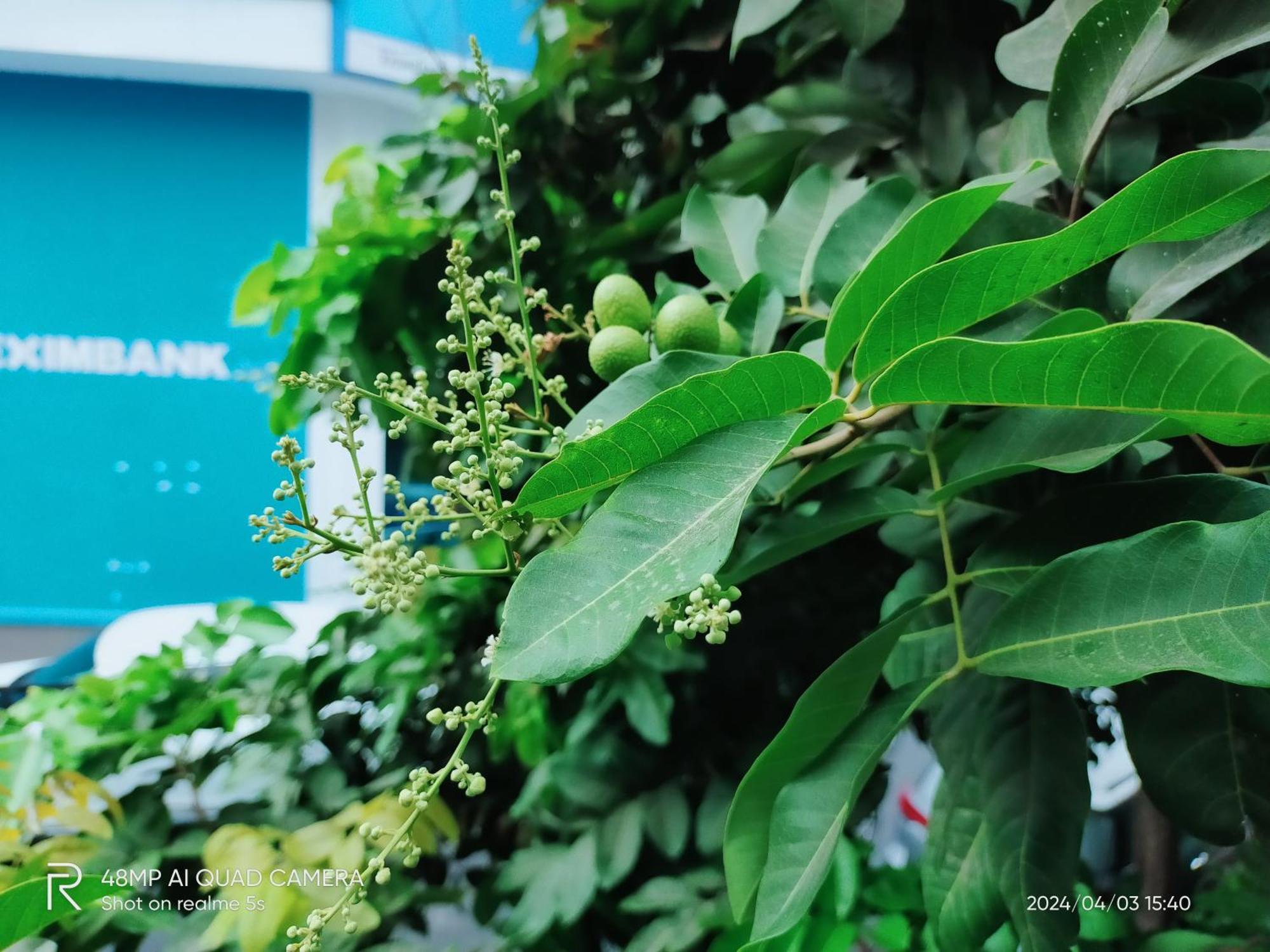 Shusimi House & Boutique Near Tan Son Nhat Airport Ho Chi Minh-stad Buitenkant foto